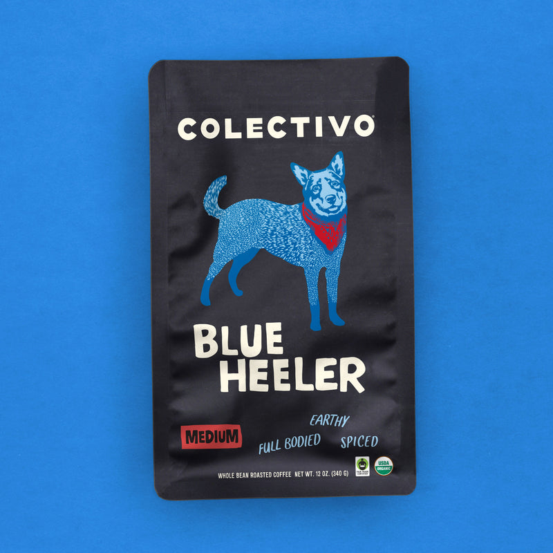 Blue Heeler